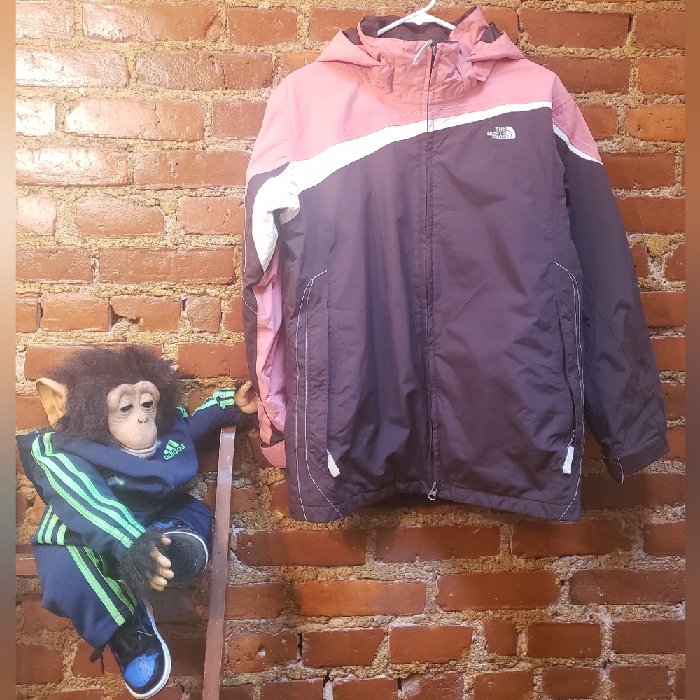 The North Face Jacket - image 1
